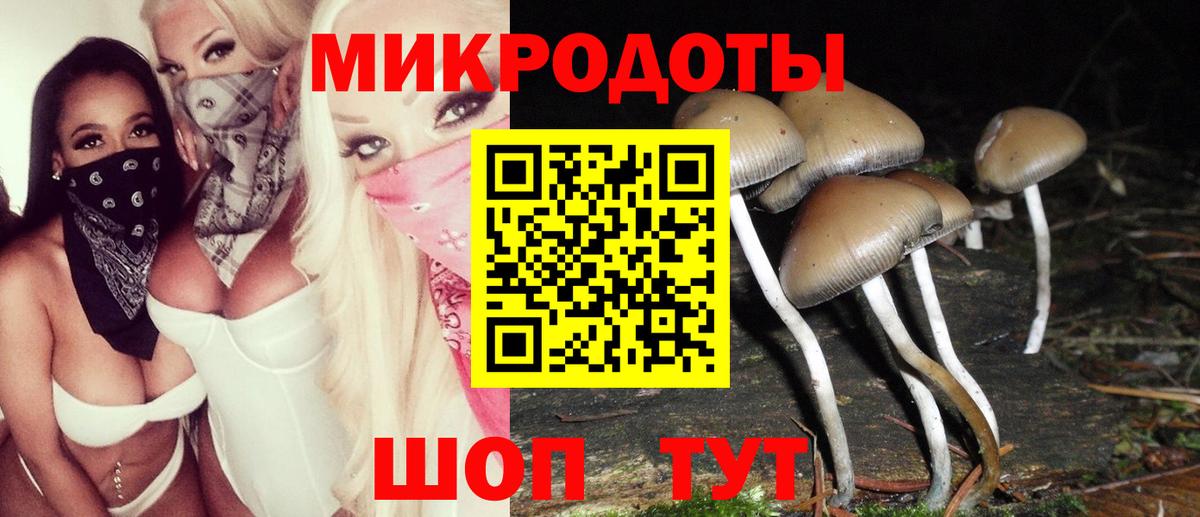 Псилоцибиновые грибы Magic Shrooms Волоколамск